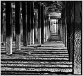 Under the pier by Jean Pain